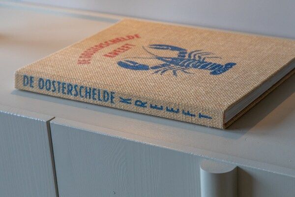 Zoutelande 'Kurhaus appartement nr 1 in Zoutelande - Foto 40 van 40