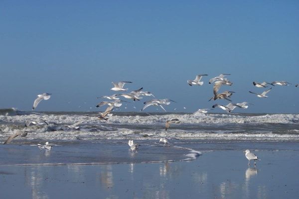 32002 in PP Julianadorp aan Zee - Foto 21 van 21