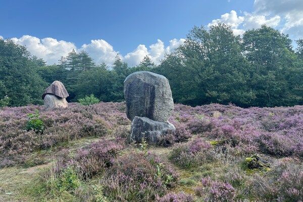 De Riek 4P in De Kiel - Foto 2 van 25