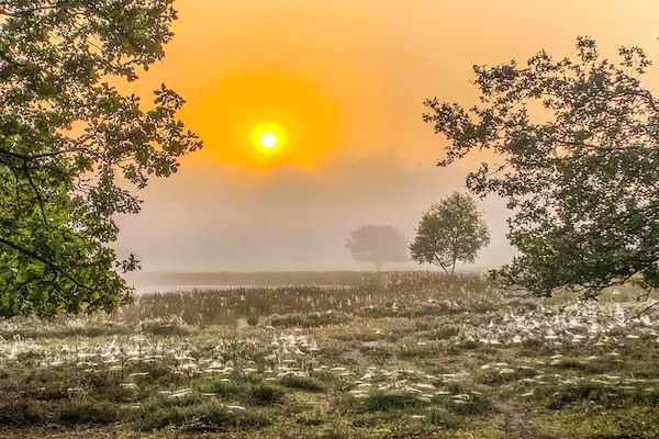 De Ploeg 6P in De Kiel - Foto 2 van 26