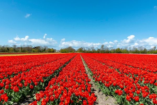 Strandhuis Uitwaayer in Sint Maartensvlotbrug - Foto 27 van 27