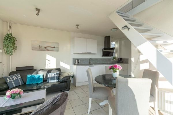 Duinroos in Groote Keeten - Foto 2 van 14