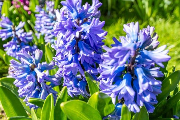 Sandepark 165 in Groote Keeten - Foto 24 van 24