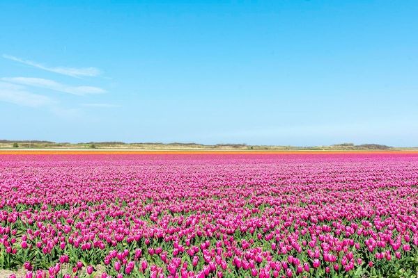 Suite Duinzicht in Callantsoog - Foto 13 van 13