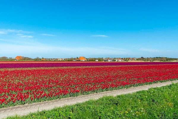 De Buitenplaats 72 in Callantsoog - Foto 25 van 25