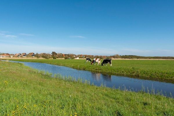 De Buitenplaats 42 in Callantsoog - Foto 19 van 19