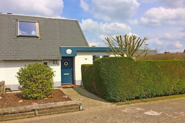 Schoneveld 35 Zeester Breskens in Breskens - Foto 1 van 40