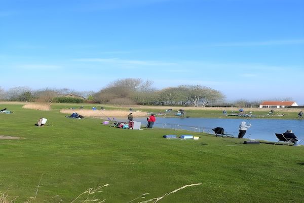 Schoneveld 114 Zeemeeuw Breskens in Breskens - Foto 8 van 8