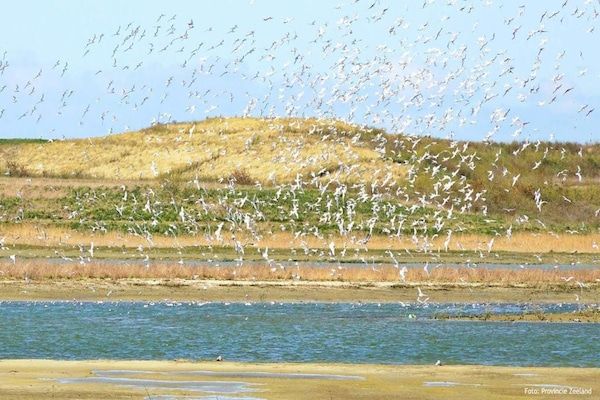 Schoneveld 369 Strandparel Breskens in Breskens - Foto 40 van 40