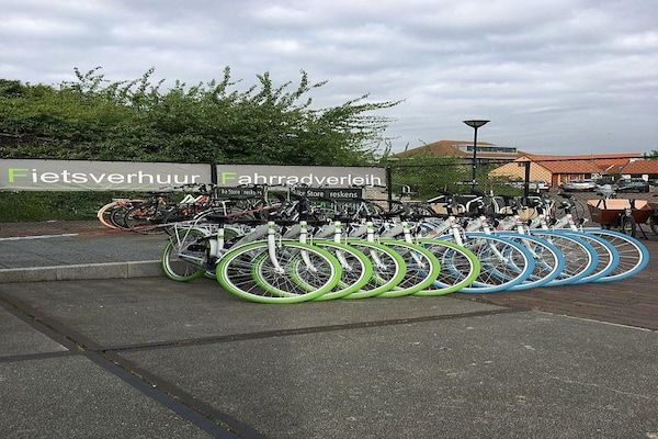 Schoneveld 146 Zeemeeuw Breskens in Breskens - Foto 38 van 38