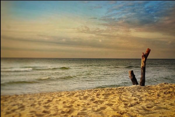 Schoneveld 147 Duinroos Breskens in Breskens - Foto 40 van 40