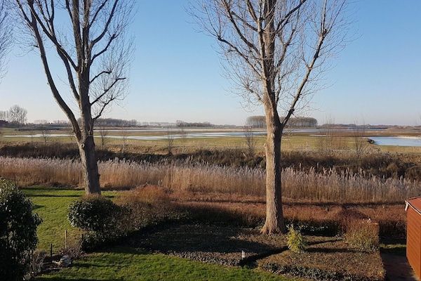 Schoneveld 170 Zeemeeuw Breskens in Breskens - Foto 40 van 40