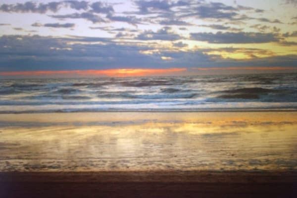 209485 in Egmond aan Zee - Foto 26 van 26