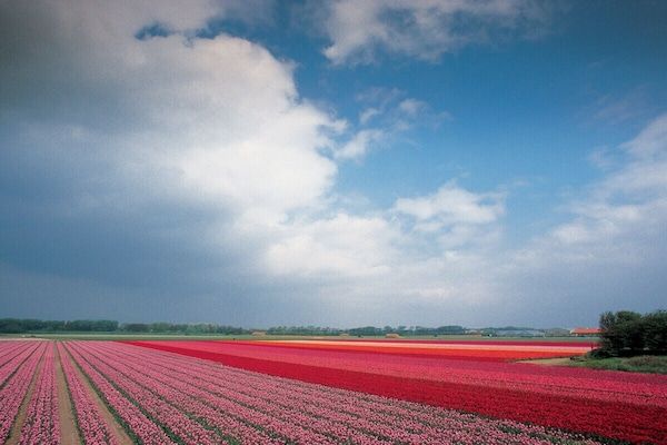 7118 in Egmond (Egmond) - Foto 24 van 24