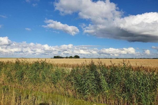 Standaard 329 in Simonshaven - Foto 37 van 37