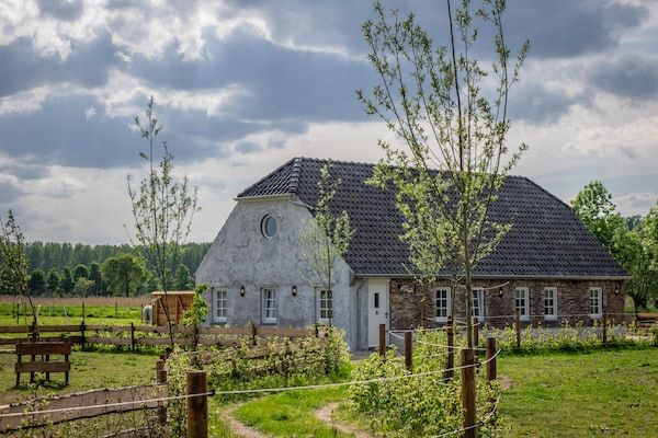 De woelige stal in Sint-Oedenrode - Foto 1 van 40