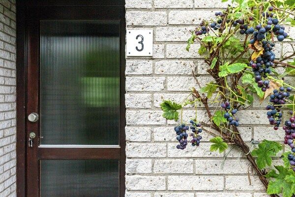 De Nachtegaal - Veerse Meer in Kamperland - Foto 40 van 40