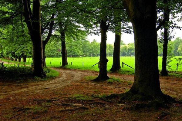 Boerderijchalet nr1 in Sint Nicolaasga - Foto 40 van 40