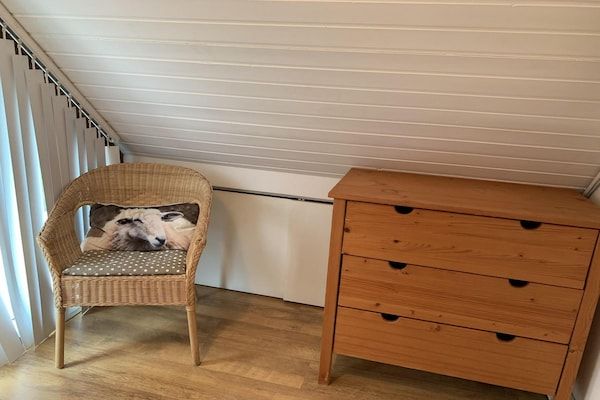 Belkmerduinen 03 in Sint Maartenszee - Foto 29 van 29