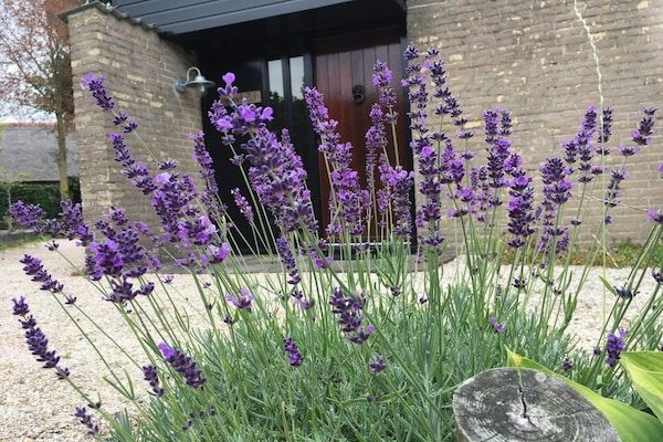 De Schelp 07 in Sint Maartenszee - Foto 30 van 30