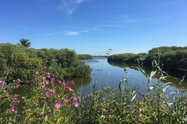 Beach 15-20 in Petten - Foto 40 van 40