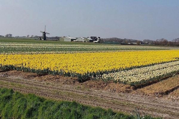 Eureka 015 - "Kalliste" in Sint Maartenszee - Foto 33 van 33