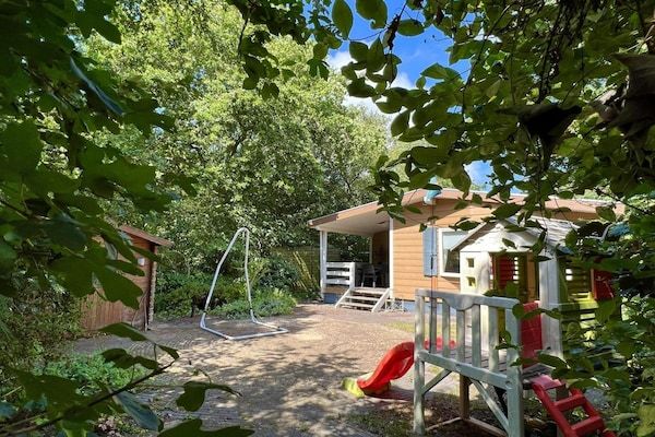 Campanula 164 in Sint Maartenszee - Foto 25 van 25