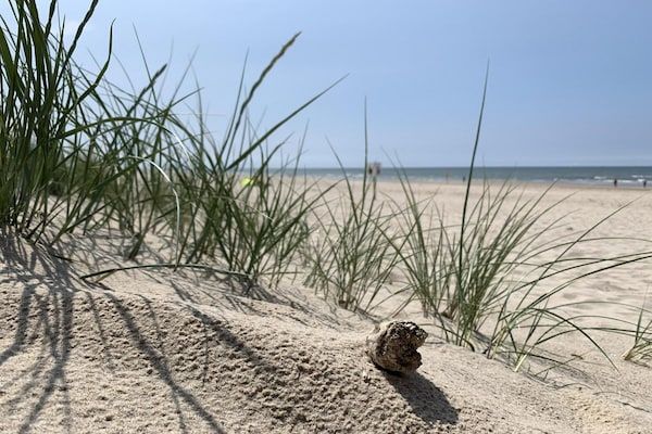 Boerenslag 28 in Sint Maartenszee - Foto 29 van 29