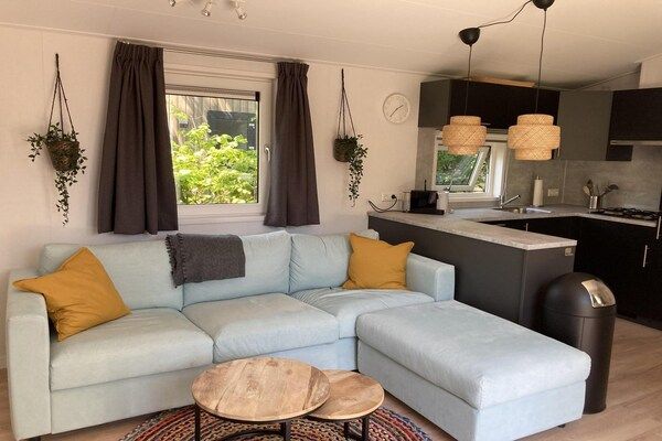 Campanula 225 in Sint Maartenszee - Foto 2 van 32