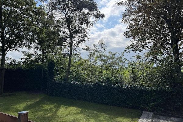 Campanula 208 in Sint Maartenszee - Foto 32 van 32