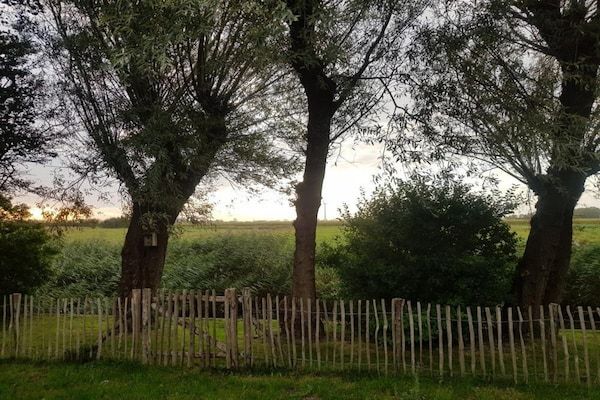 AreaSummer1KM - Mooi vakantiehuis in Burgerburg in Burgerbrug (5)