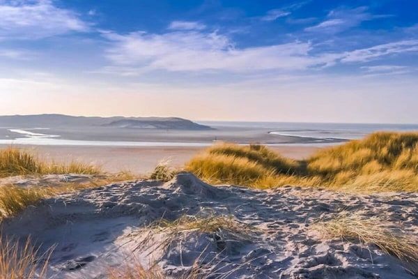 520683 in de koog - Foto 16 van 16