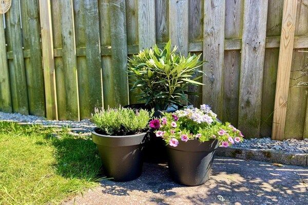 Eb en Vloed 62 in Sint Maartenszee - Foto 34 van 34