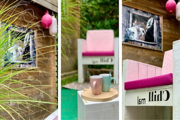 Campanula 191 in Sint Maartenszee - Foto 33 van 33