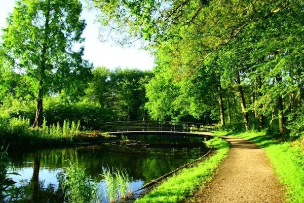 Maurits 1 in Den Haag - Foto 40 van 40