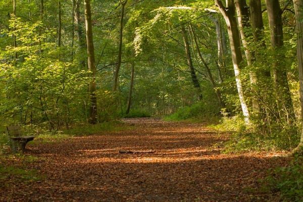 Delft 2C in Delft - Foto 37 van 37