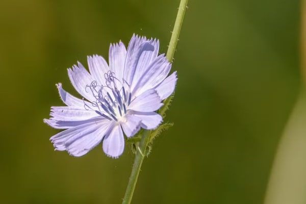 De Parel in Hattemerbroek - Foto 36 van 36