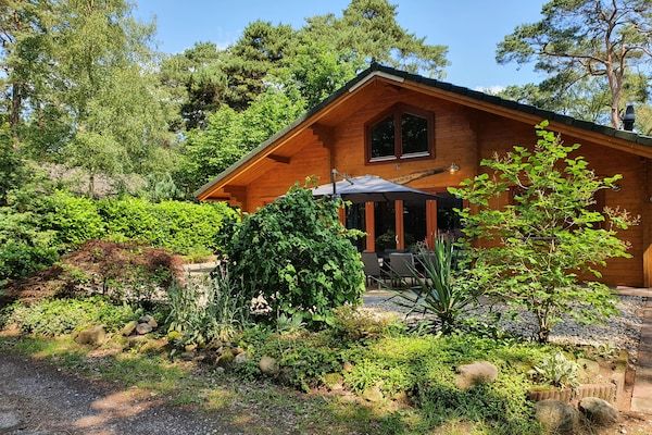 6-persoons luxe bosvilla Casa Madeira in Markelo - Foto 1 van 30