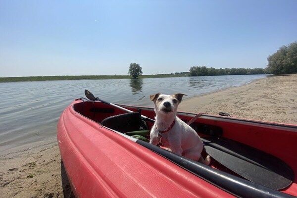 452844 in Olburgen - Foto 34 van 34