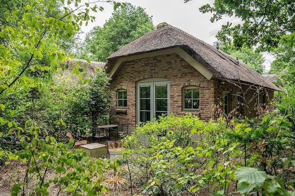 Vlindervallei Studio 2p in Ermelo - Foto 1 van 40