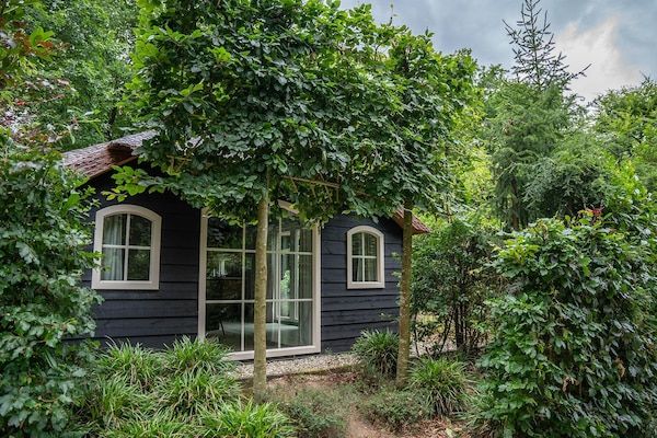 Heivlinder Comfort 4+2p in Ermelo - Foto 1 van 40