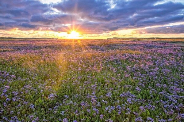 Bungalow 309 in De Koog - Foto 20 van 20