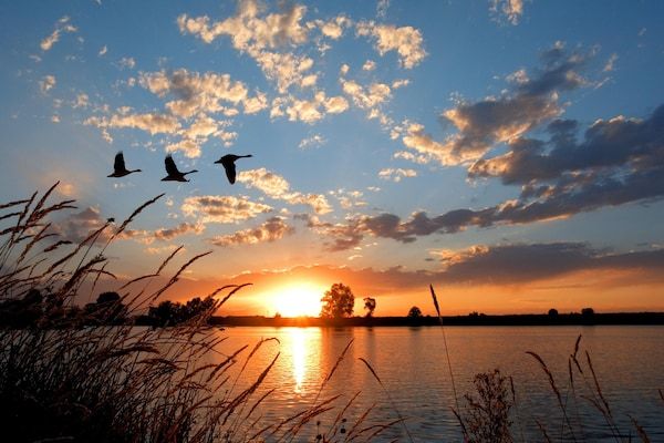 Dijkhuys in PS Opperdoes - Foto 11 van 11