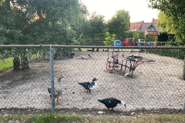 De Hofstede in Bergen op Zoom - Foto 40 van 40