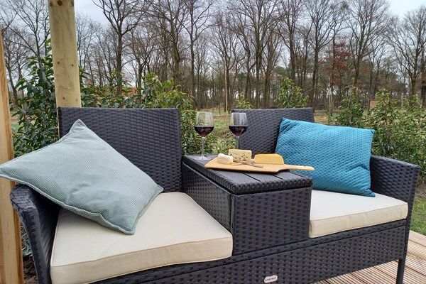 Terras - Leuke Tiny Home gelegen naast een eigen in Oirschot (5)