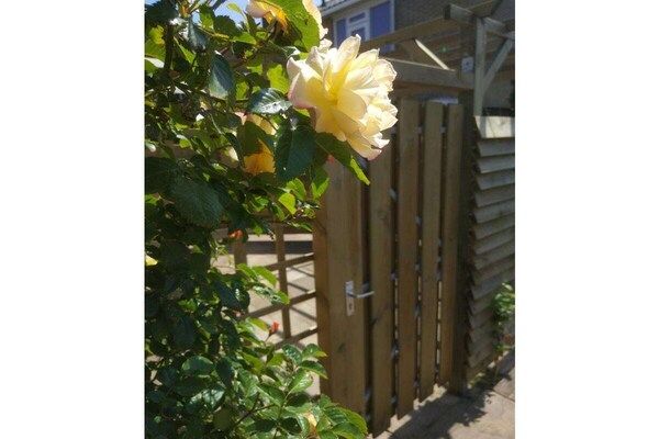 235675 in Heemskerk - Foto 2 van 22