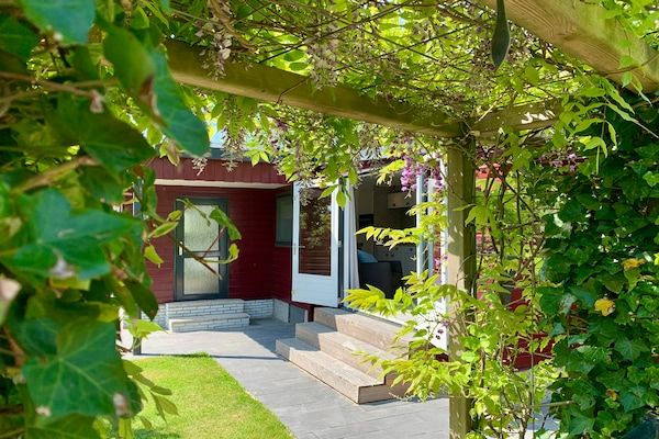 Campanula 211 in Sint Maartenszee - Foto 2 van 18