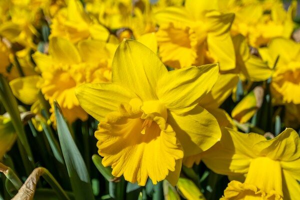 Résidence Juliana 21 in Julianadorp aan Zee - Foto 19 van 19
