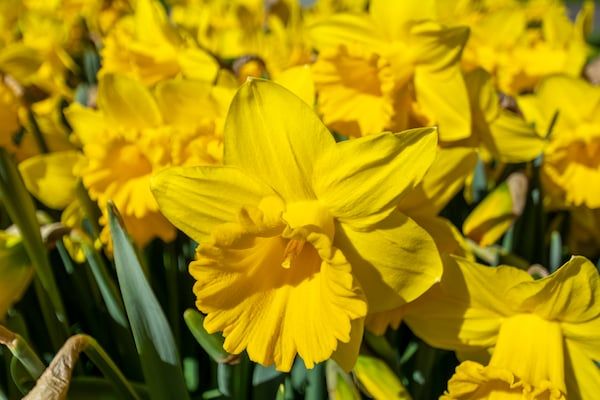 Beach Appartement 04 in Callantsoog - Foto 18 van 18