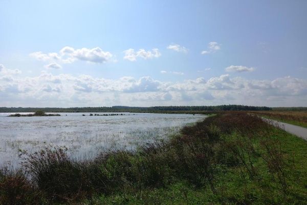 Chaletwoning 1 in Sint Nicolaasga - Foto 38 van 38